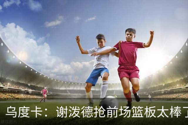 乌度卡：谢泼德抢前场篮板太棒了，我很喜欢