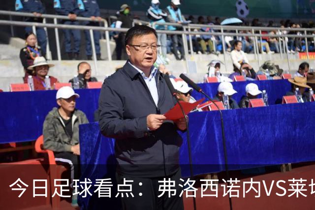 今日足球看点：弗洛西诺内VS莱切，佛罗伦萨VS亚特兰大，哈马比VS天狼星，埃弗顿VS纽卡斯尔联