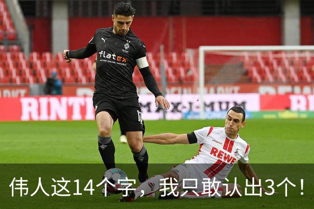 伟人这14个字，我只敢认出3个！能全部认出的，必是书法高手！一行字里大小字穿插变化，如何做到彼此呼应？