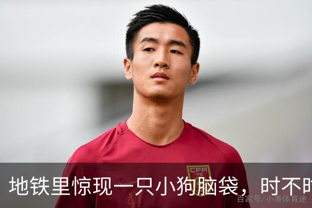 地铁里惊现一只小狗脑袋，时不时睁眼巡视，下一秒又困得睡过去了！