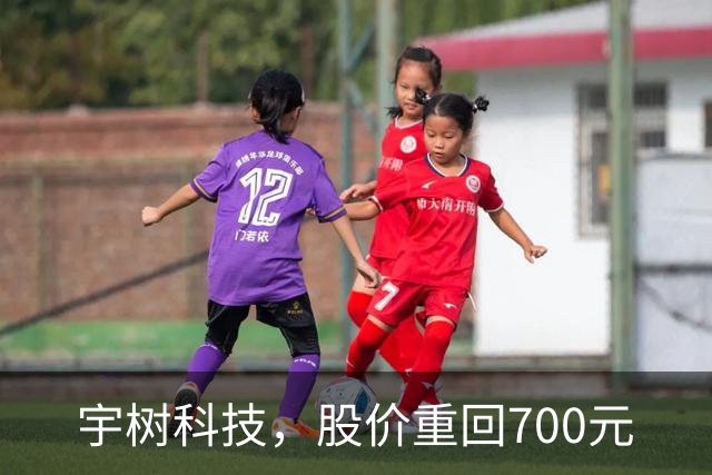 宇树科技，股价重回700元