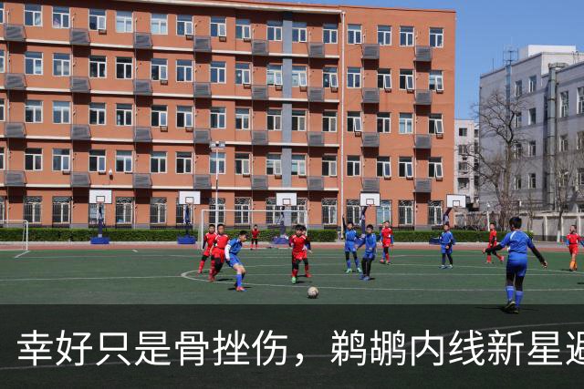幸好只是骨挫伤，鹈鹕内线新星避免了重大伤病的发生？