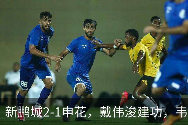 新鹏城2-1申花，戴伟浚建功，韦斯利点射，杨帅破门，拉唐失点