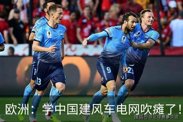 欧洲：学中国建风车电网吹瘫了！中国：忘说了，我在山里放了刹车