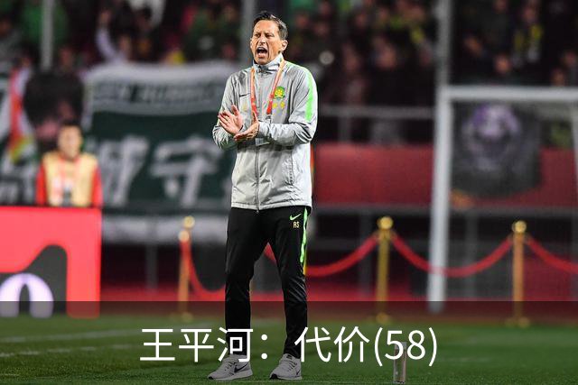 王平河：代价(5/8)