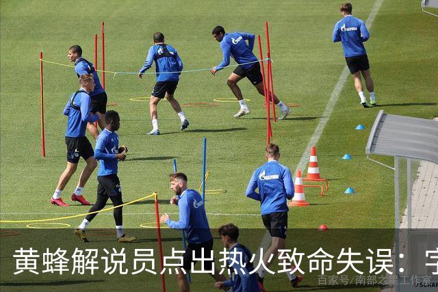 黄蜂解说员点出热火致命失误：字母哥下场时势头正好
