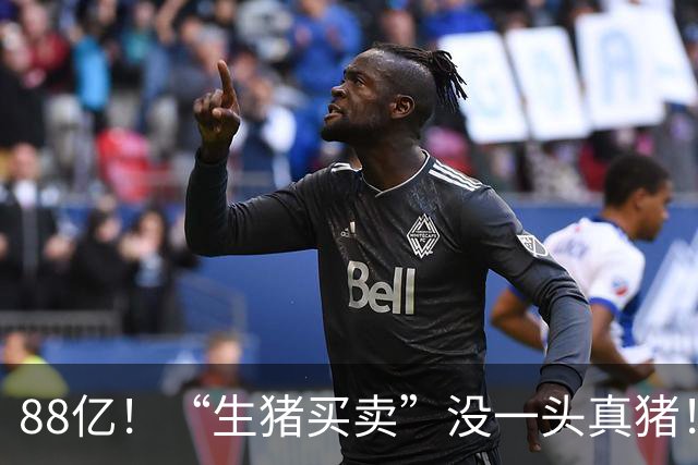88亿！“生猪买卖”没一头真猪！空手套白狼，国企巨款全被挪走？